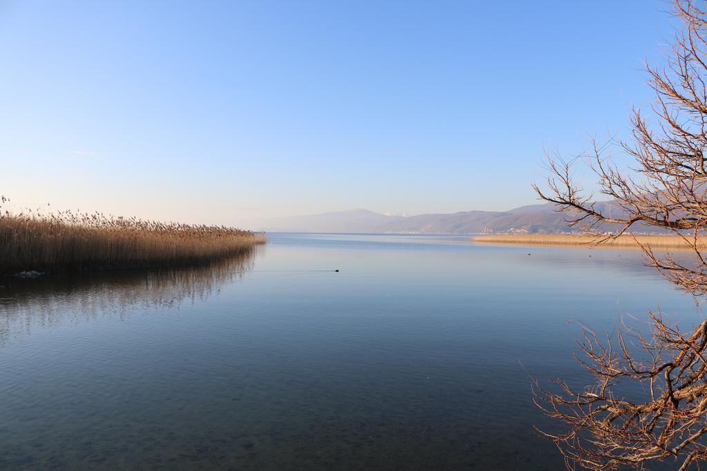 Hotel Montenegro Struga Eksteriør billede